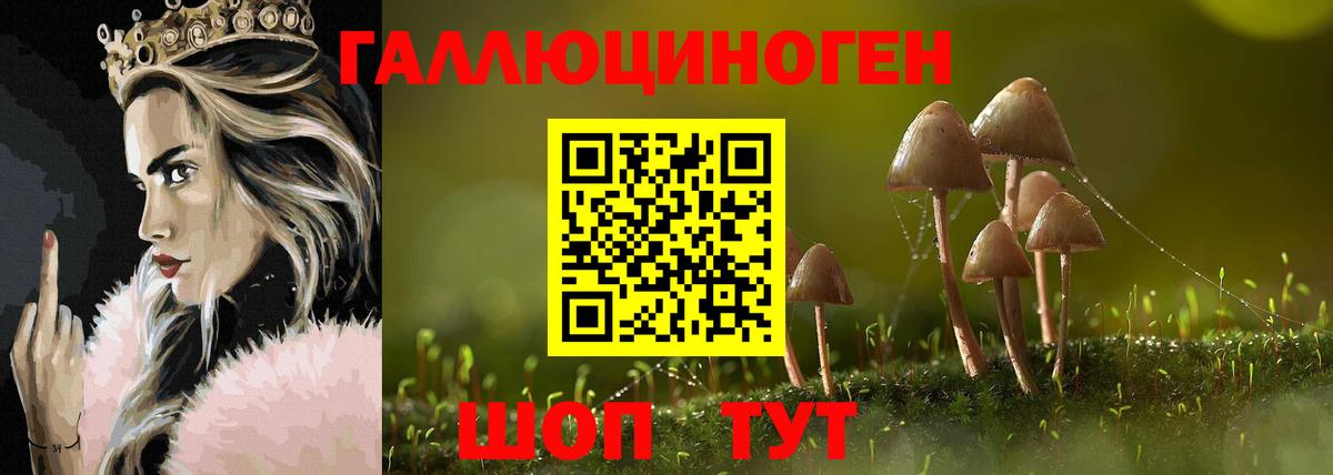 Галлюциногенные грибы Psilocybine cubensis  Вход с VPN  Южноуральск 